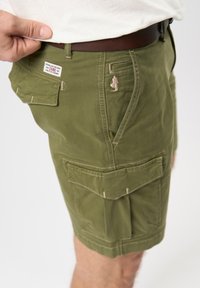 MCS Shorts - winter moss