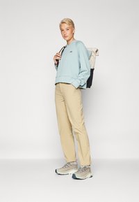 Patagonia ESSENTIAL HOODY - Džemperis ar kapuci - thermal blue