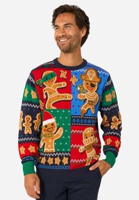 Värvikas kootud kampsun, millel on piparkoogitegelased punastes, rohelistes ja sinistes sektsioonides mustritega, ümmarguse kaelusega ja soonikkoes varrukasäärtega.