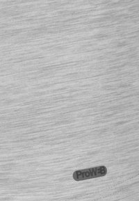 Spyder ACTIVEWEAR - Felpa - grey