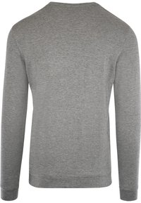 Maglione grigio a maniche lunghe con scollo rotondo, realizzato in morbido tessuto a maglia. Presenta una texture semplice e liscia con polsini e orlo a costine. Senza grafiche o motivi.