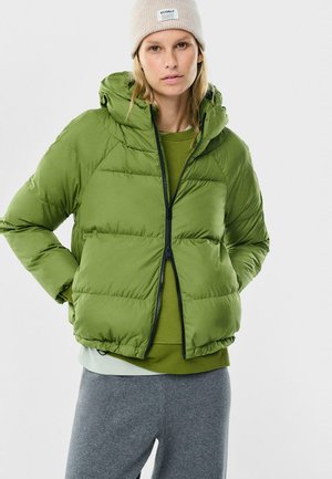 DENIA - Winterjas - vibrant green