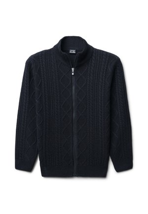 Maglione zip-up di colore blu navy, con colletto alto, motivo a trecce testurizzate e polsini e orlo a coste. Materiale morbido e spesso.