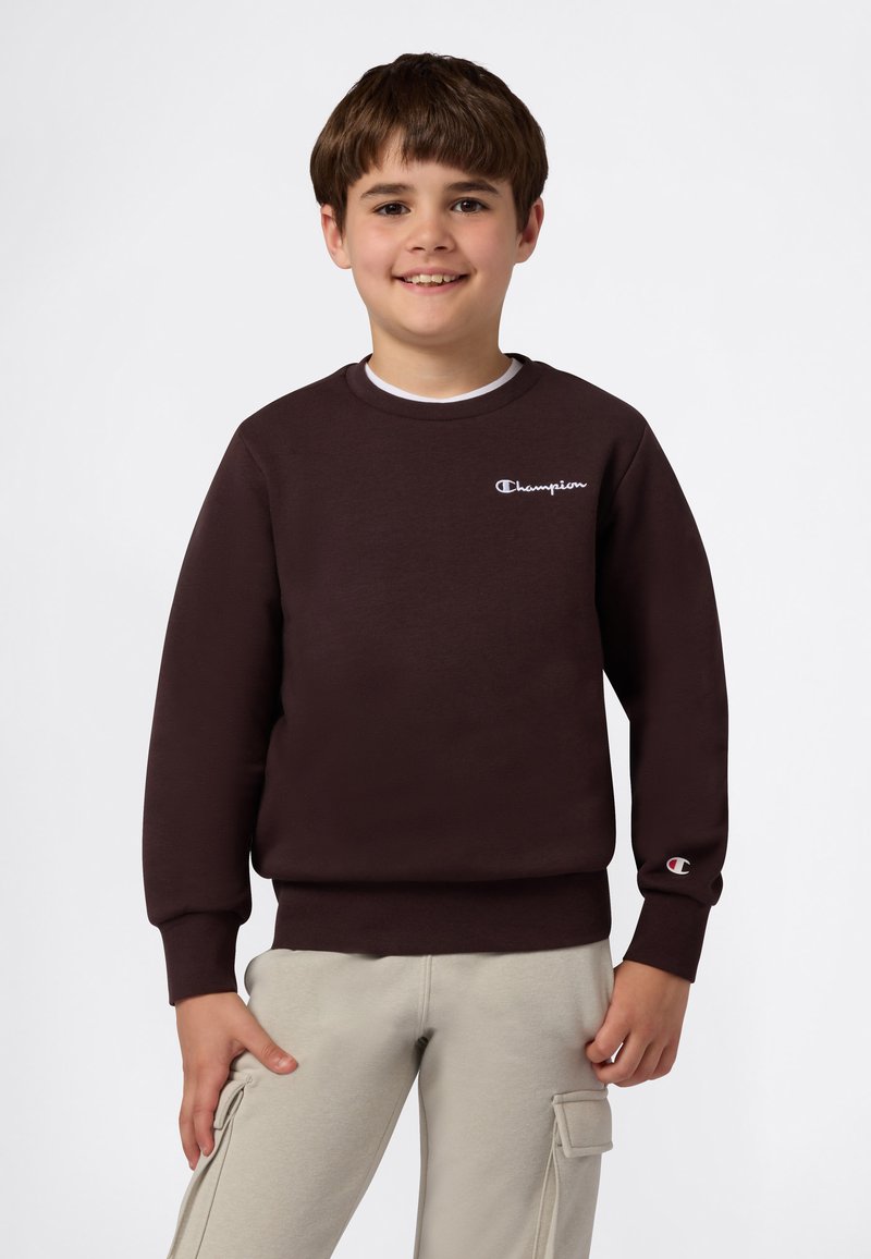Felpa marrone realizzata in misto cotone, con colletto rotondo e polsini a costine. Logo Champion in bianco sul petto e sulla manica.