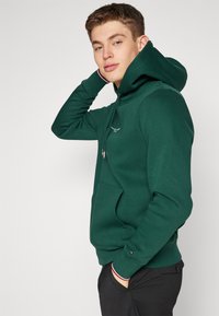 Tommy Hilfiger LOGO TIPPED - Felpa - hunter