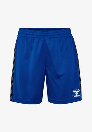 Blå träningsshorts i slät tyg, med svarta sidopaneler med ett chevronmönster och en vit logotyp på den nedre fronten.