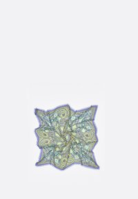 Vierkante sjaal met een paisleypatroon in groen en blauw, met een franjerand en een lichtpaarse rand. Zachte stoffen textuur.