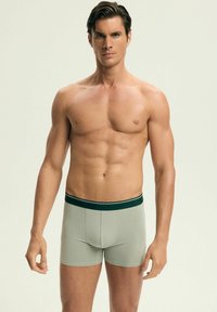 Męskie bokserki w jasnym zielonym kolorze z ciemnozielonym elastycznym pasem, charakteryzujące się dopasowanym krojem i gładką teksturą.