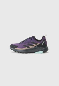 Adidas Terrex ANYLANDER - Chaussures de marche - aurora plum/core black/trace brown