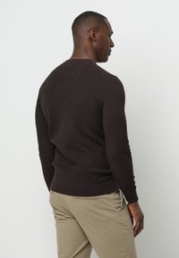 PROFUOMO THE STRUCTURE BASIC CREW - Strickpullover - dark brown