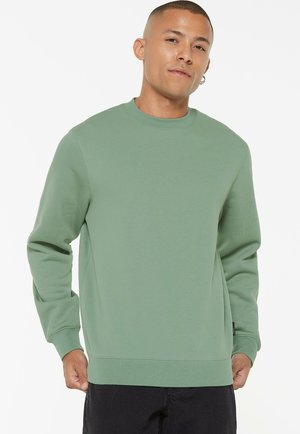 Grüner Baumwoll-Sweatshirt mit rundem Halsausschnitt, langen Ärmeln und gerippten Bündchen und Saum. Glatte Textur, minimales Design, keine Muster oder Akzente.