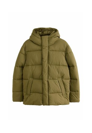 Next, REGULAR FIT - THERMOGEN SHOWER RESISTANT PUFFER JACKET - Winterjacke - green