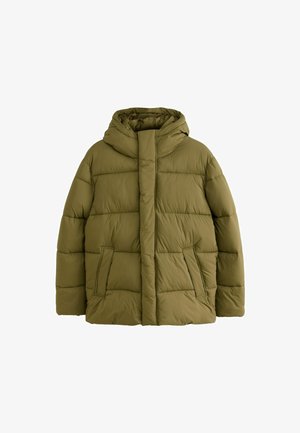 Next, REGULAR FIT - THERMOGEN SHOWER RESISTANT PUFFER JACKET - Winterjacke - green