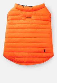 Ausgewählt, bright orange/hunter navy