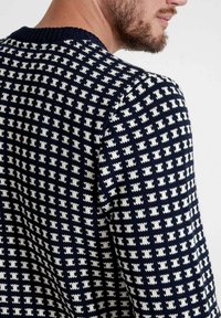 Holebrook BRYNOLF CREW - Džemper - navy ecru
