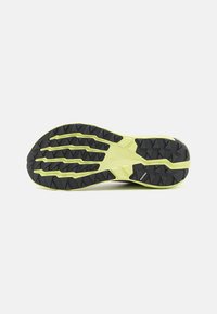 Altra EXPERIENCE WILD - Scarpe da trail running - gray/green
