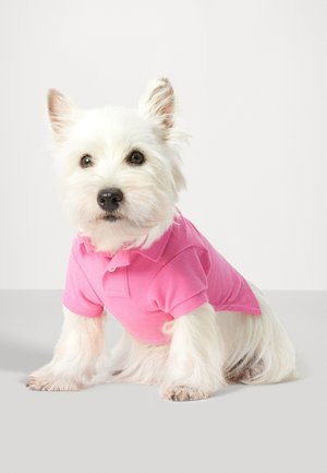 DOGS BEAR SHIRT UNISEX - Doplnky pre domácich miláčikov - pink