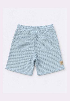 Project X Paris, SHORT FLOWER - Pantalon de survêtement - bleu glace