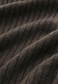 Next ROLL NECK - REGULAR FIT TEXTURE - Strickpullover - brown