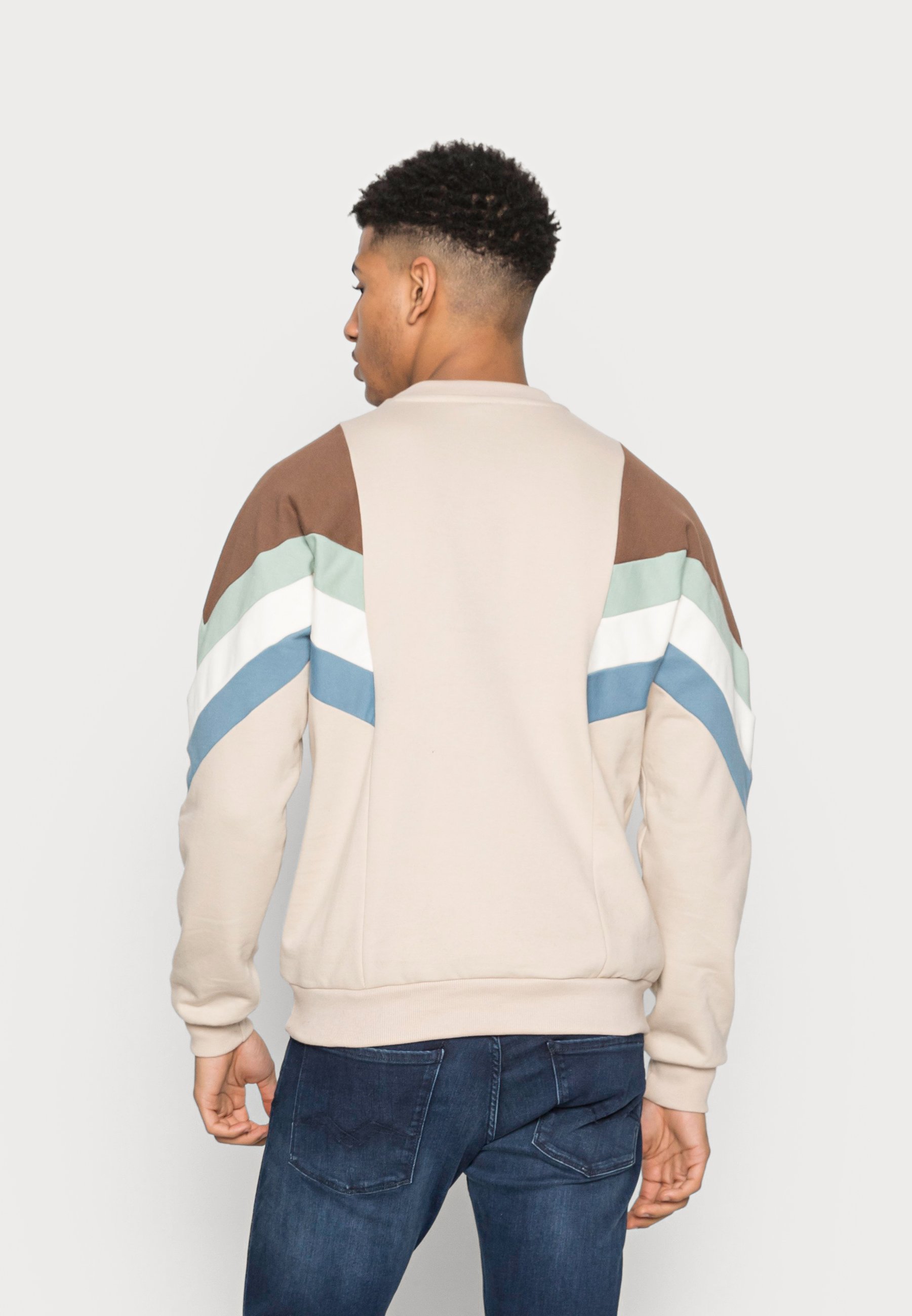 Kaotiko CREW SEATTLE UNISEX - Sudadera - beige/brown/fresh green/beige -  Zalando.es