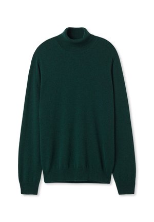 Maglione a collo alto verde scuro realizzato in morbido tessuto a maglia; presenta maniche lunghe, polsini a coste e un design a collo alto aderente.