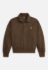 HALF ZIP - Collegepaita - york brown