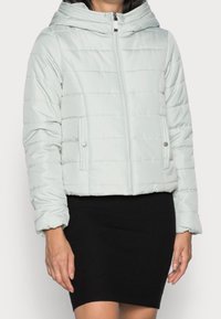 Jasnoszara kurtka puchowa z kapturem, zapinana na zamek błyskawiczny, z ściągaczami na rękawach. Posiada poziome przeszycia oraz dwie boczne kieszenie.