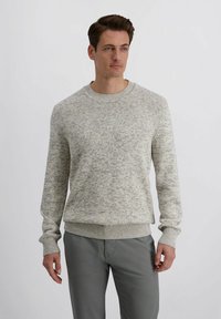 Lichtgrijze gebreide trui met een gespikkelde textuur, ronde hals, geribbelde manchetten en zoom. Draagt grijze broek.