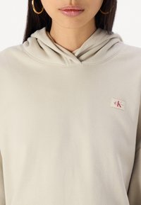 Felpa con cappuccio grigia chiara realizzata in tessuto morbido, con un piccolo logo ricamato sul petto e una vestibilità comoda.
