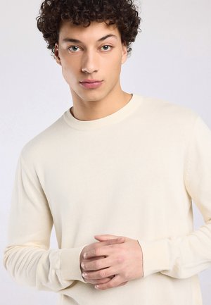 Junger Mann mit lockigem Haar, trägt einen cremefarbenen Pullover, hält die Hände auf Taillenhöhe zusammen und schaut mit neutralem Gesichtsausdruck nach vorne.