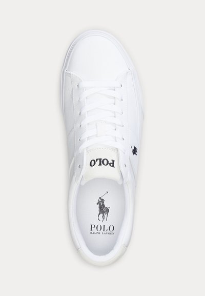 Valge madala säärega tennisking, valged paelad, Polo Ralph Laureni logo keelel, küljel ja sisetallal, vaadatuna ülalt tavalise tausta peal.