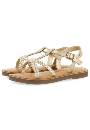 Sandalias con tiras trenzadas de oro y una hebilla ajustable, con suela plana marrón y textura suave. Diseñadas para uso casual.