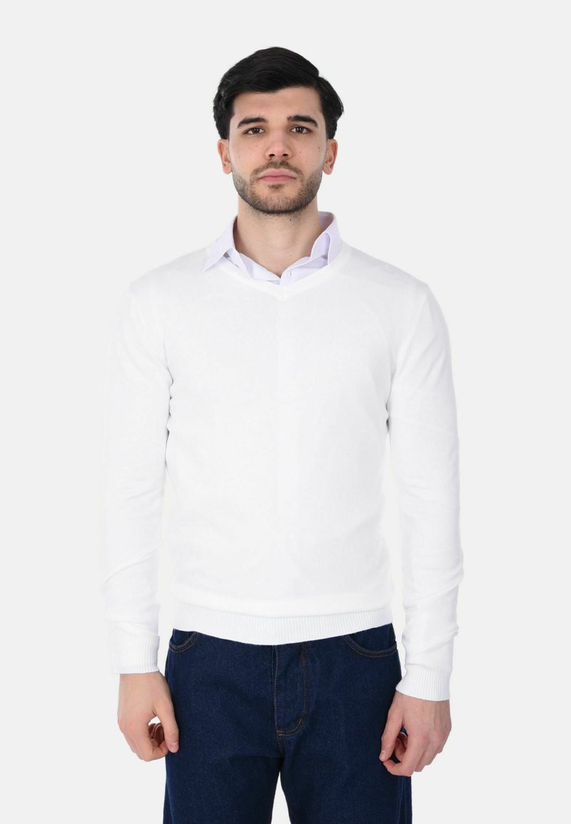 Un giovane con capelli scuri e barba, che indossa un maglione bianco a V su una camicia bianca con colletto e jeans blu scuro, in piedi davanti a uno sfondo semplice.