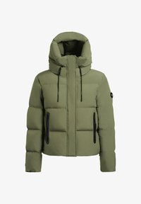 Non sélectionné, fern green