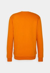 Felpa arancione con maniche lunghe, scollo rotondo e polsini a costine. Texture morbida e colore uniforme senza motivi o accenti.