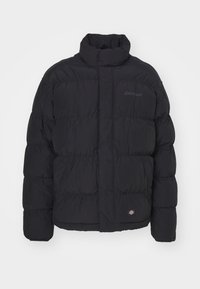 GLACIER VIEW PUFFER - Giacca invernale - black