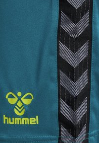 Turkosa sportshorts med en svart sidopanel och vita chevronmönster. Ljusa gröna "hummel"-logotyp på framsidan. Slät textur.