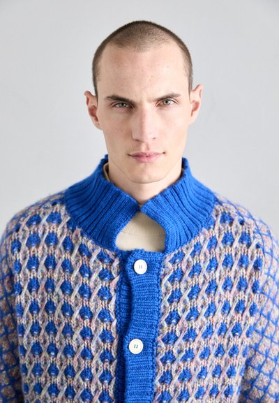 Henrik Vibskov KIMCHI CARDIGAN - Cardigan - blue party