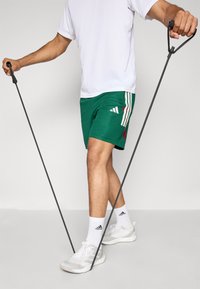 Calções atléticos verdes com riscas brancas e vermelhas, t-shirt branca, bandas de resistência pretas e sapatilhas atléticas cinza claro com meias brancas.