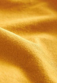 Next REGULAR - Camiseta básica - amber yellow