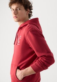 Red cotton hoodie with a front pocket, ribbed cuffs, and a graphic design on the chest. Smooth texture with a relaxed fit.