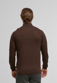 Brauner Pullover mit hohem Kragen, gerippten Bündchen und Saum, aus einem glatt gestrickten Stoff. Der Rücken zeigt eine subtile Nahtdetail.