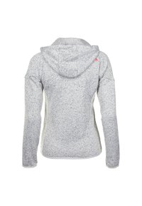 Peak Mountain ATORA - Veste polaire - gris