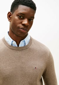Maglione a pullover in maglia marrone chiaro, con scollatura rotonda e una piccola patch con logo; indossato sopra una camicia azzurra a righe con colletto.