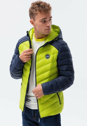 Winter jacket - green