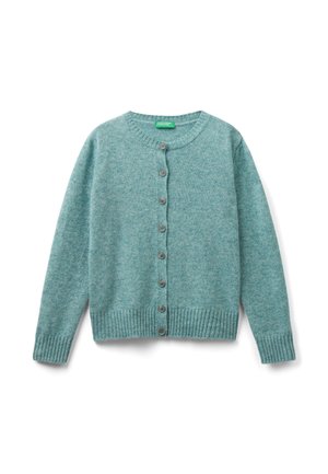 Turquoise cardigan made from textured knit fabric. Features a round neckline, button closure, and ribbed cuffs and hem.