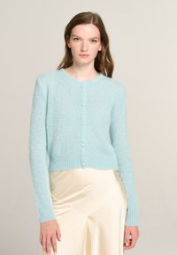 Unausgewählt, mint blue