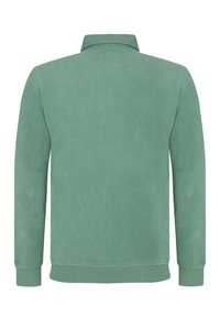 Vihreä puuvillapaitamekko kauluksella, pitkähihaisilla hihoilla, resorikujilla ja helman viimeistelyllä. Pehmeä rakenne, joka on sileä pinta, takanäky näkyvissä.