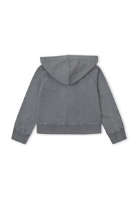 Sudadera gris de manga larga con capucha, puños y dobladillo acanalados, mostrada extendida hacia abajo mostrando la parte trasera, tela lisa sin patrones ni logotipos visibles.