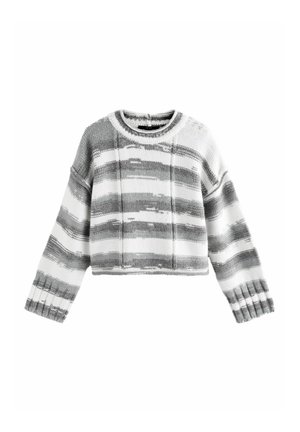 Next SPACEDYE STRIPE - Džemperis - grey